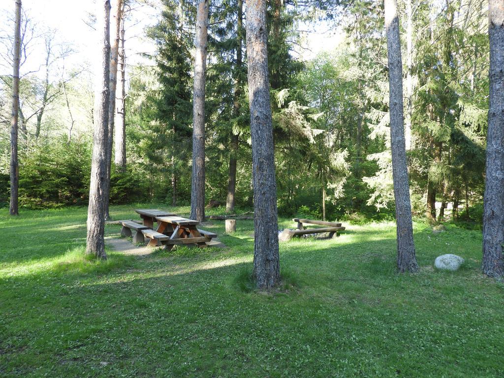 Chata Dáša High Tatras Mlynceky Exterior foto